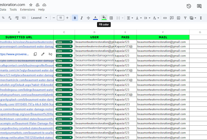 do complete local SEO and google my business optimization